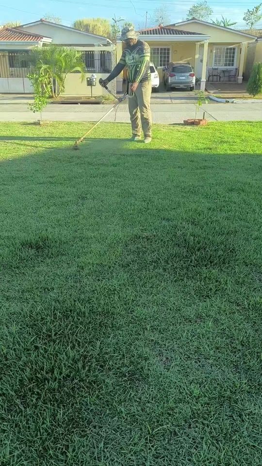 TikTok video thumbnail by thegrassbarber