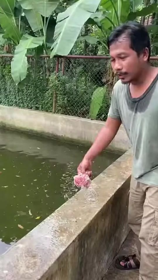 TikTok video thumbnail by anomalyth