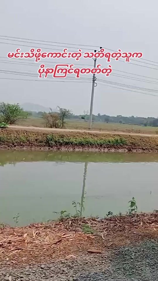 TikTok video thumbnail by mdy779
