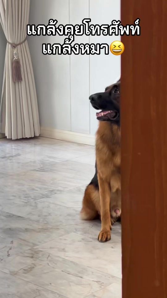 TikTok video thumbnail by raptor.jenner
