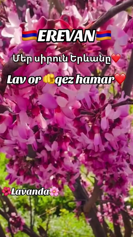 TikTok video thumbnail by astvacsere44