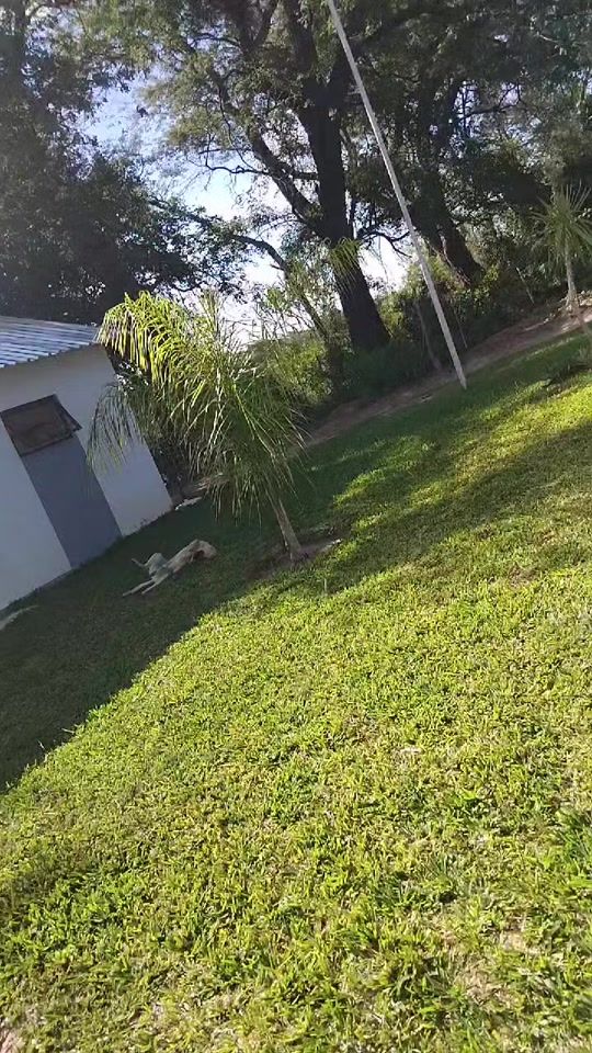 TikTok video thumbnail by rossyline2