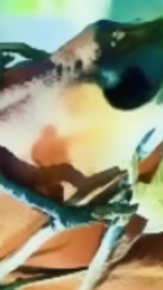 TikTok video thumbnail by yama.majidy