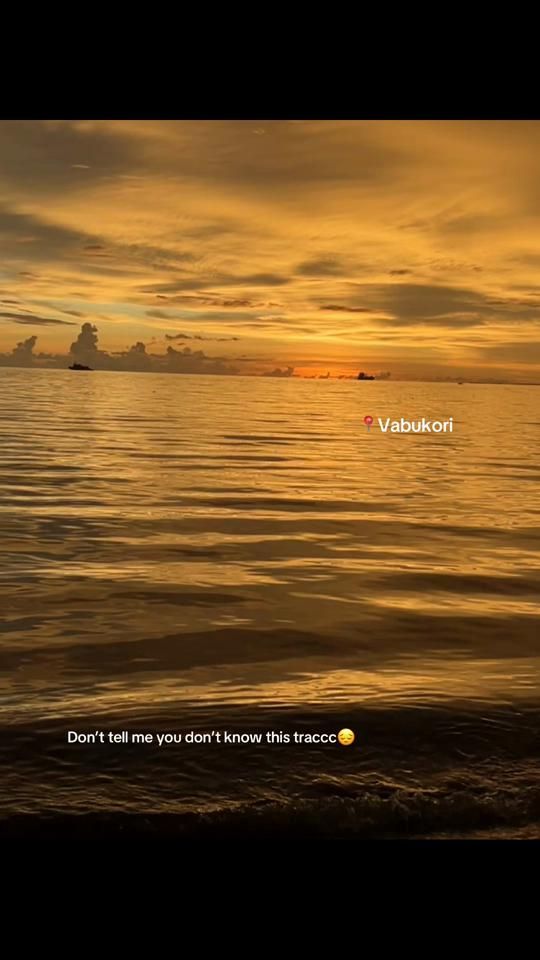 TikTok video thumbnail by _.rianne.__