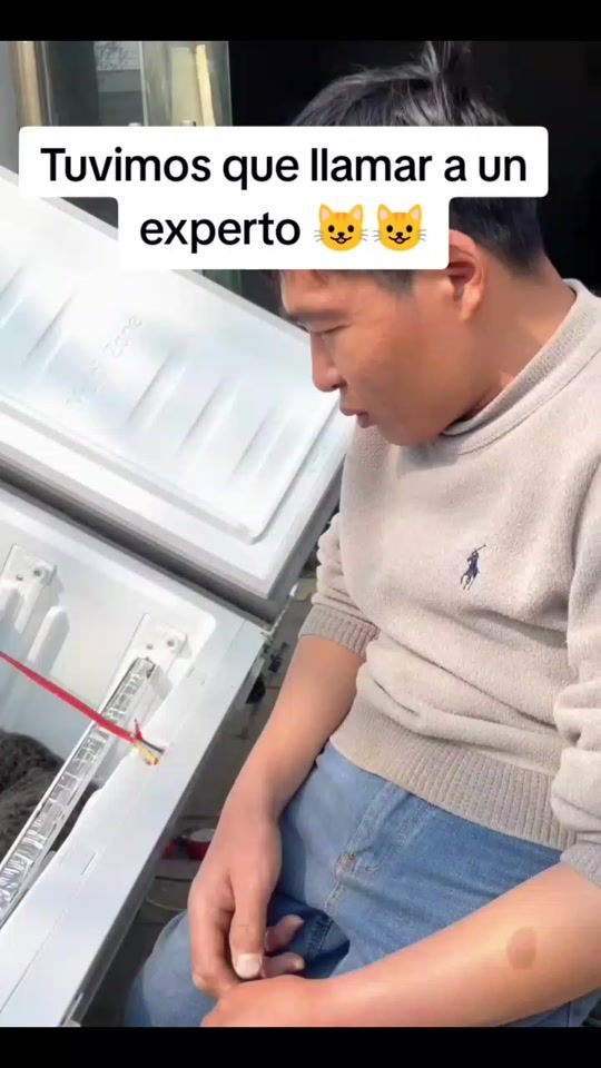 TikTok video thumbnail by lylyanht