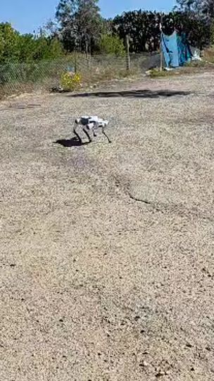 TikTok video thumbnail by almhbob_98