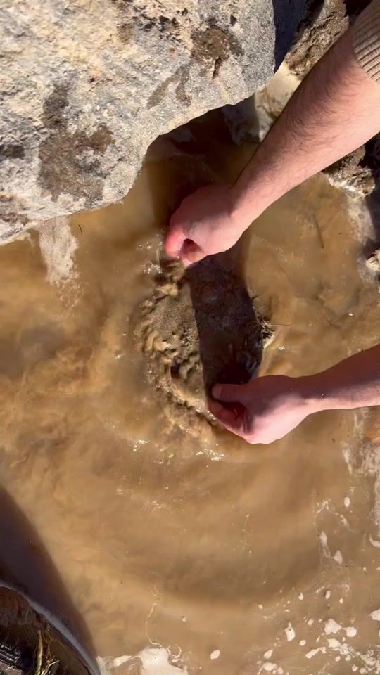 TikTok video thumbnail by arrchaeologist