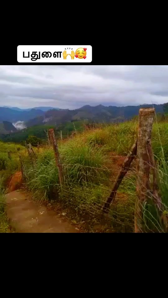 TikTok video thumbnail by a.bindhu