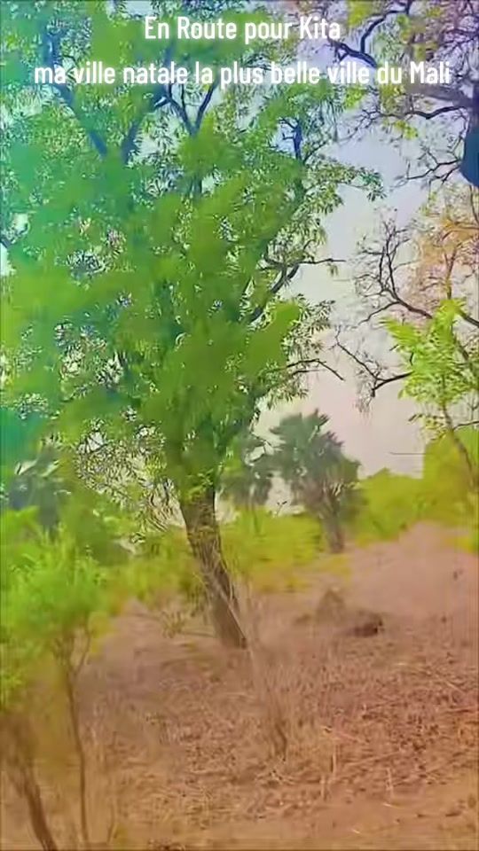 TikTok video thumbnail by wattinfos