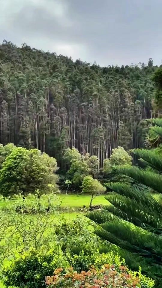 TikTok video thumbnail by cografiyakaderdir