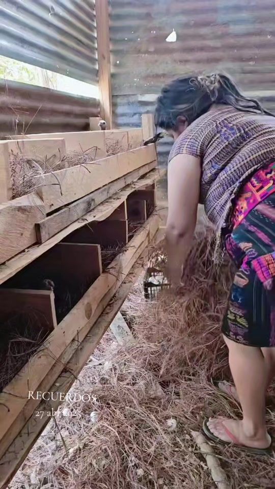 TikTok video thumbnail by lucy.la.patrona1