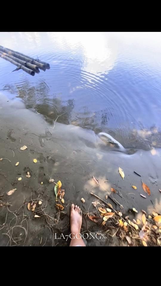 TikTok video thumbnail by jo_di_ah_mertaakiit