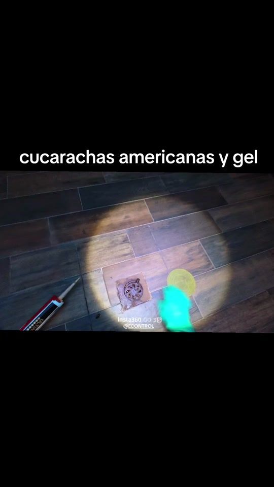 TikTok video thumbnail by fumigacionescdmx