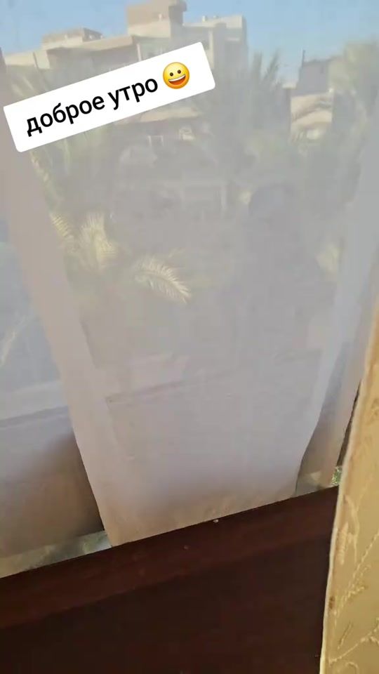 TikTok video thumbnail by crows_house