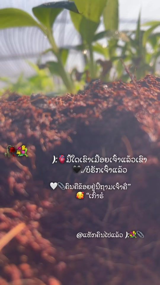 TikTok video thumbnail by an___sme
