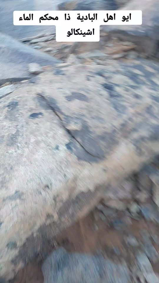 TikTok video thumbnail by wld.zeyou2