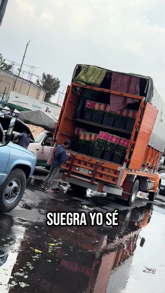TikTok video thumbnail by rojito.martinez