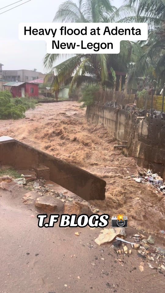 TikTok video thumbnail by tf_blogs1