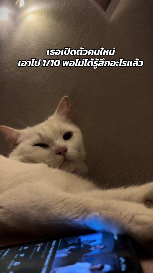 TikTok video thumbnail by meaow_maria