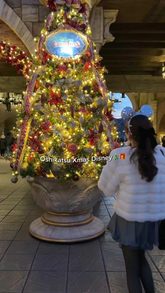 TikTok video thumbnail by lily_oshikatsu