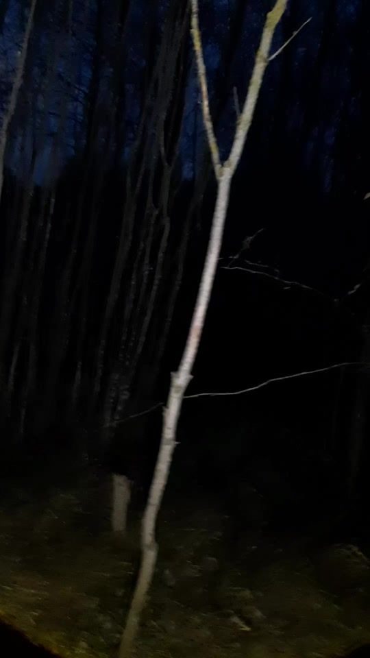 TikTok video thumbnail by 4uubrikk