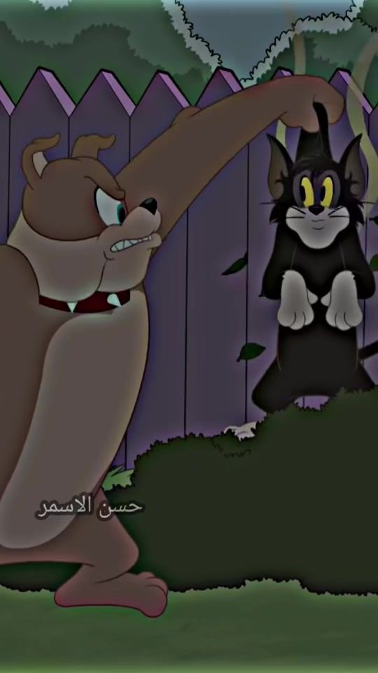 TikTok video thumbnail by h_a_s_a_n199