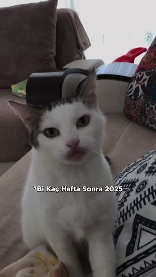 TikTok video thumbnail by bahcivanf