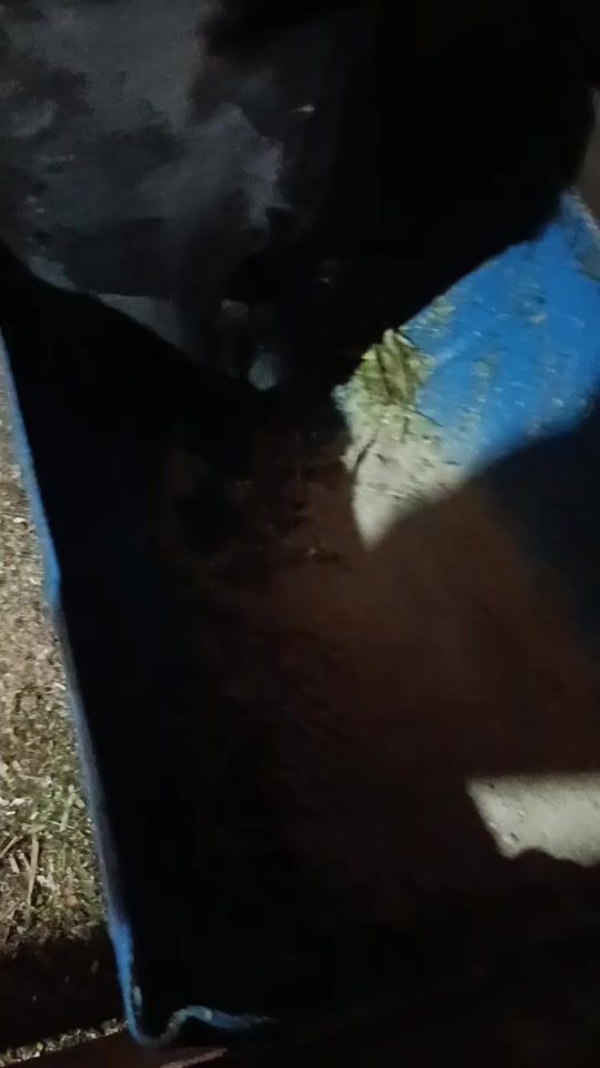 TikTok video thumbnail by daniloeduardo139
