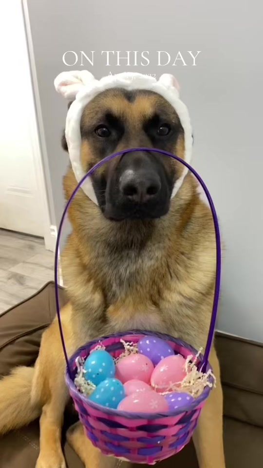TikTok video thumbnail by martygsd