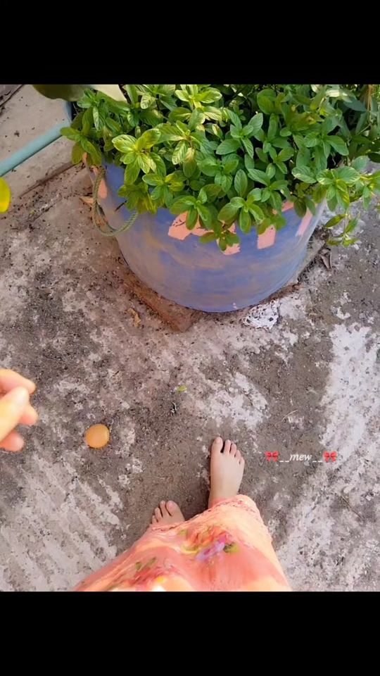 TikTok video thumbnail by her__billiii