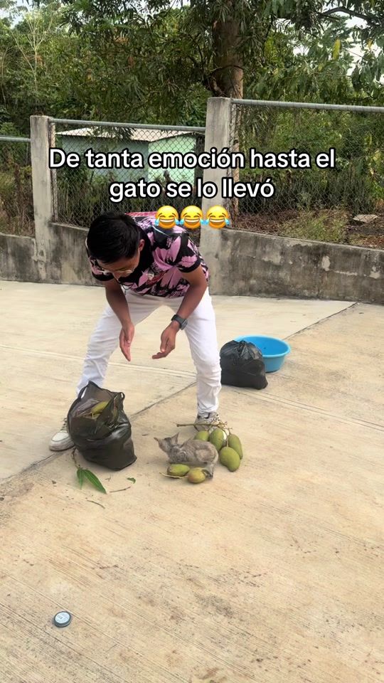 TikTok video thumbnail by eduarpoz