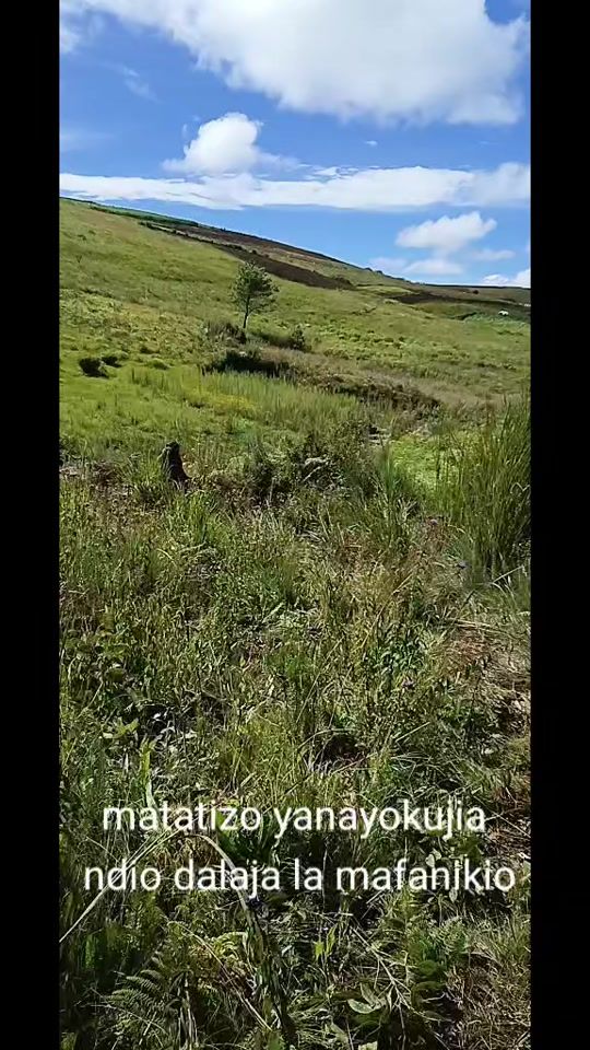 TikTok video thumbnail by agahmwalu1