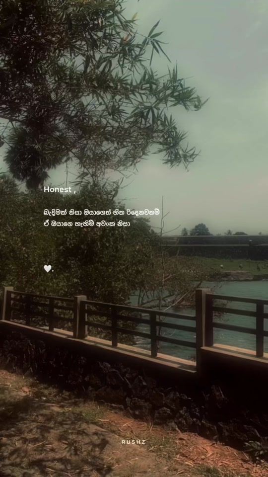 TikTok video thumbnail by _rush_z