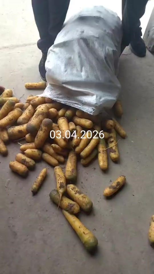 TikTok video thumbnail by user5043666404824