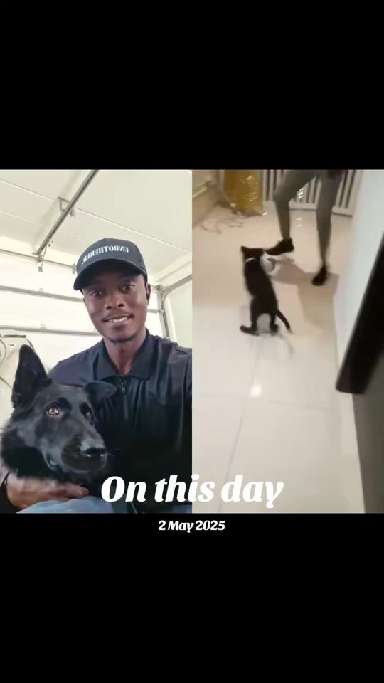 TikTok video thumbnail by kvtvk3