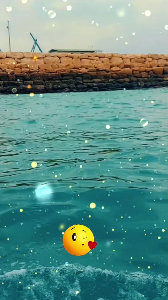 TikTok video thumbnail by quinche281