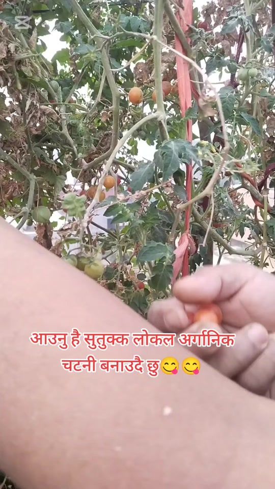 TikTok video thumbnail by bhimkamla7