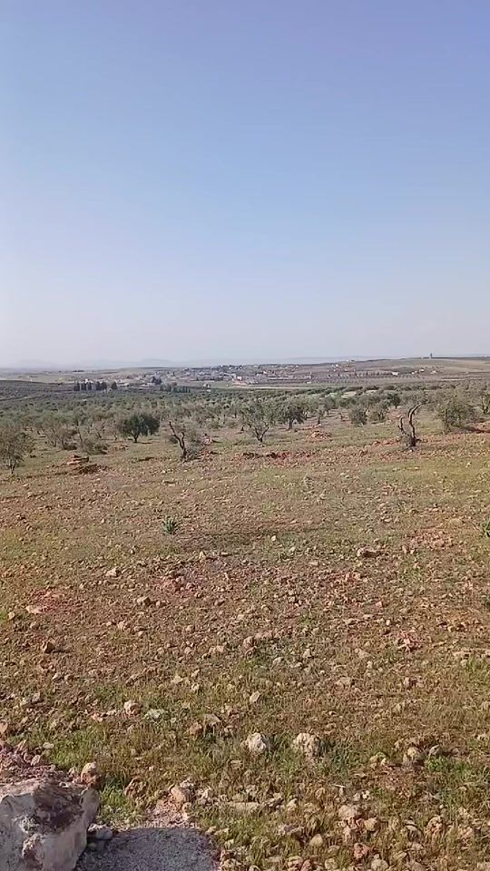 TikTok video thumbnail by user45815347018104