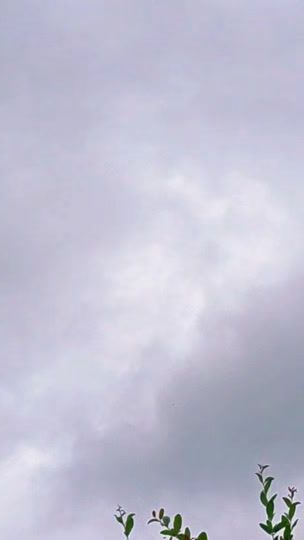 TikTok video thumbnail by thekinge_42