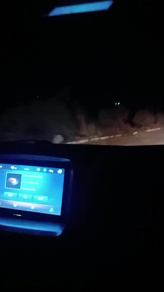 TikTok video thumbnail by hstuchaparrita1