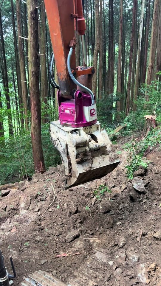 TikTok video thumbnail by takemoto.forest
