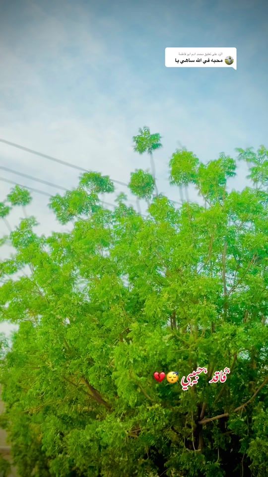 TikTok video thumbnail by m..hassan..3