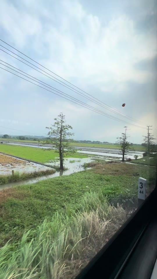 TikTok video thumbnail by coffee.addict8889