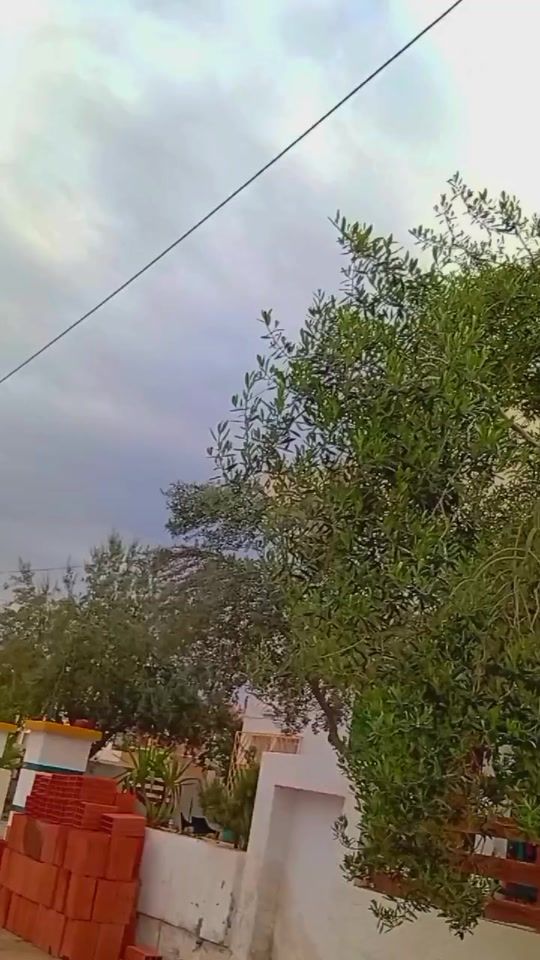 TikTok video thumbnail by seifbouzayeni