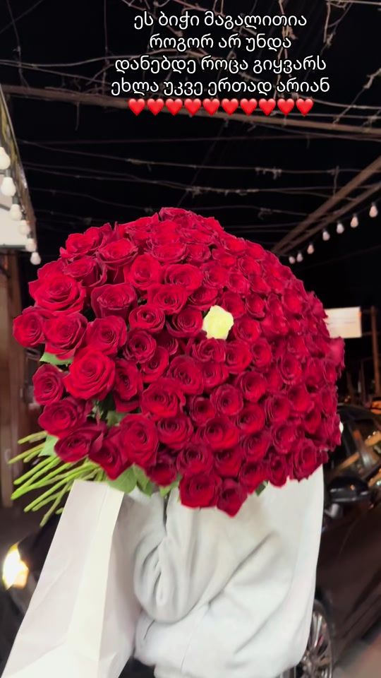 TikTok video thumbnail by gardeniabambiflowers7