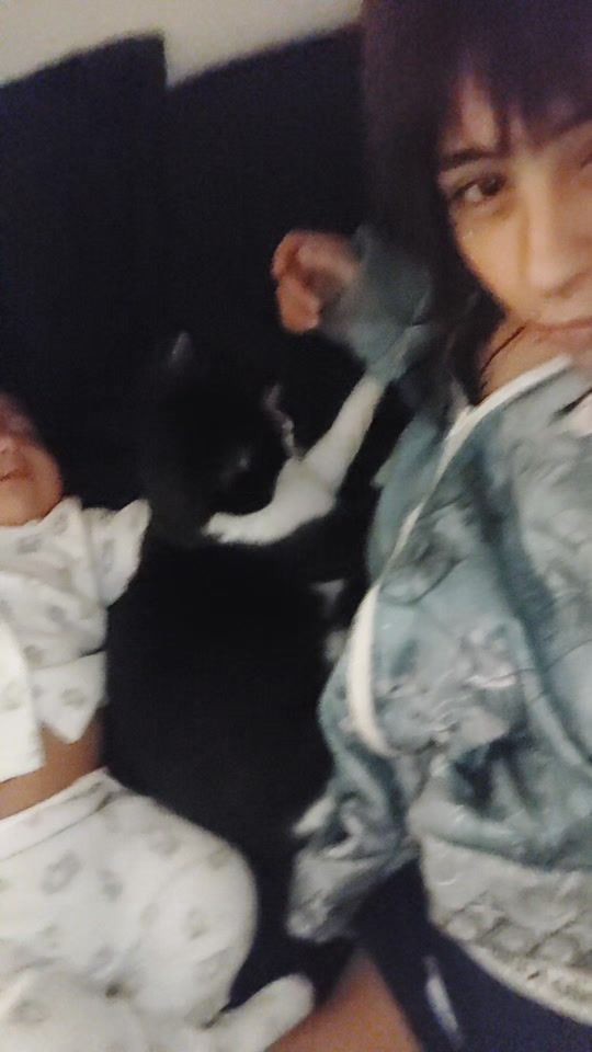 TikTok video thumbnail by tommatetom