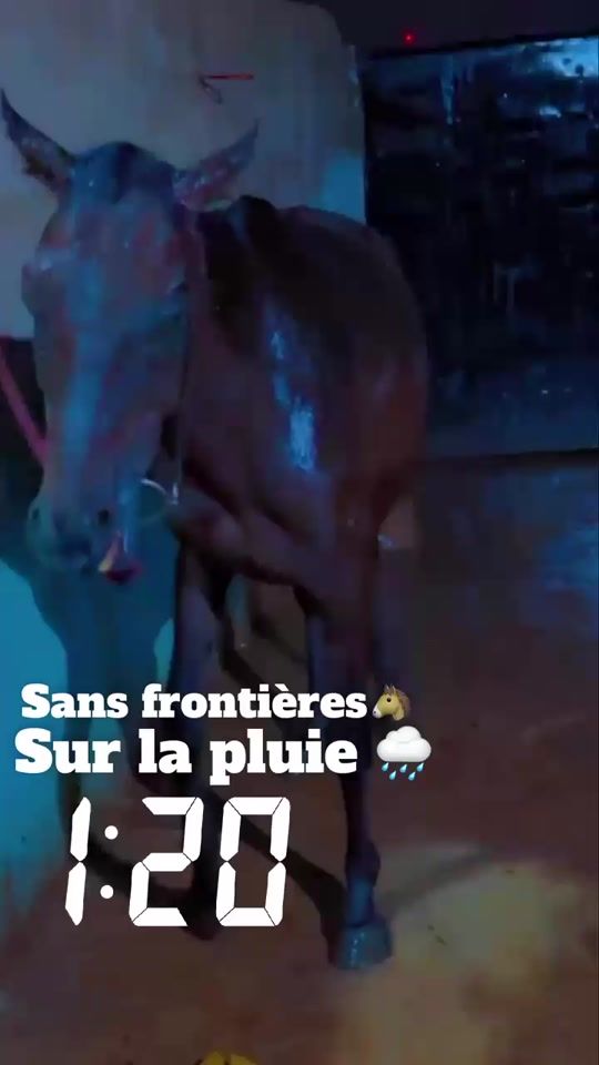 TikTok video thumbnail by bouba19920