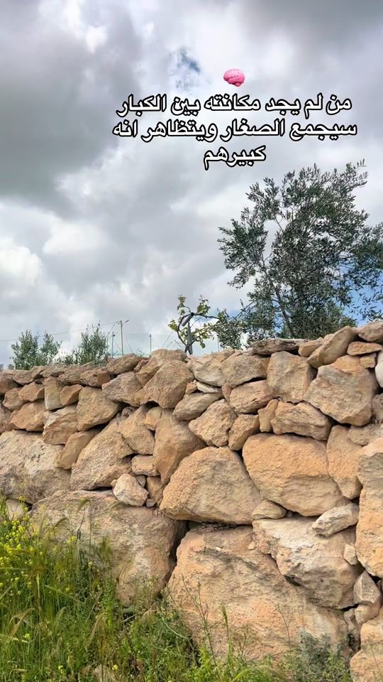 TikTok video thumbnail by simanizar
