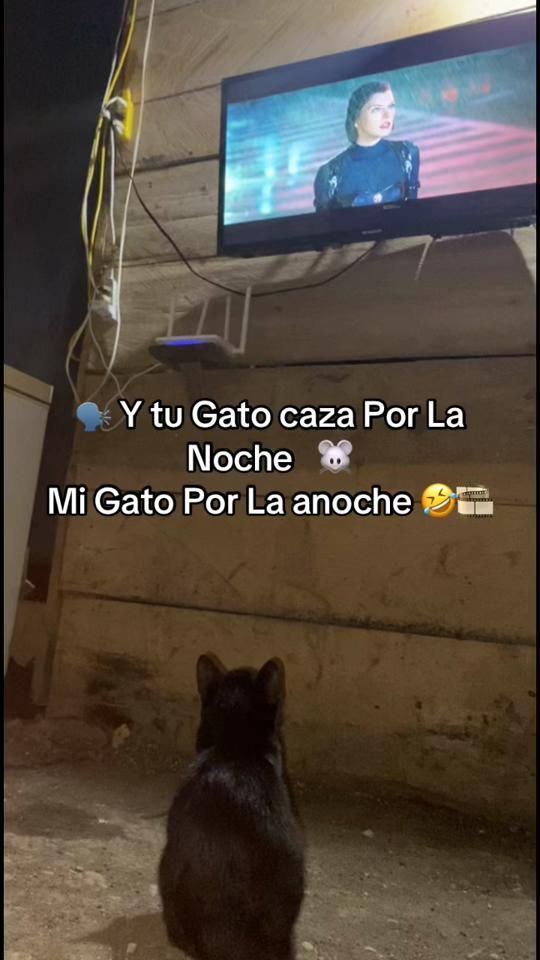 TikTok video thumbnail by _avila_09