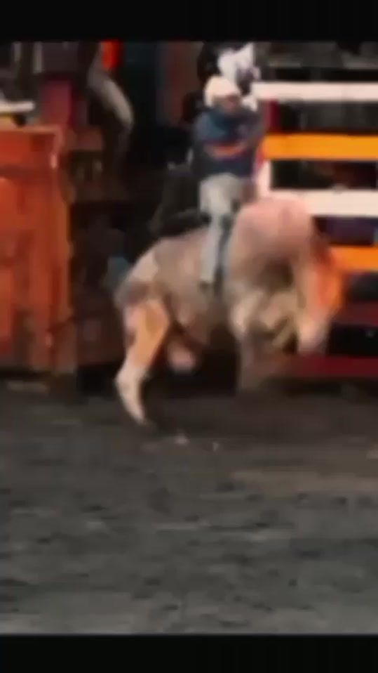 TikTok video thumbnail by yaritsel29